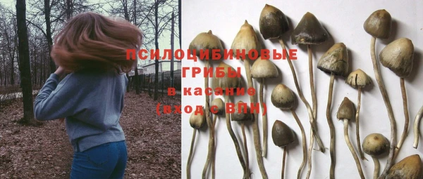 прущий лед Балабаново